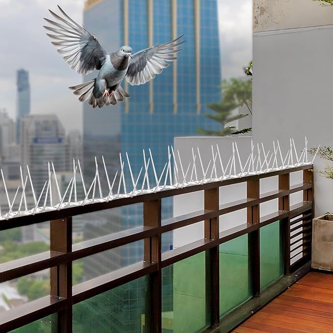 Bird Spikes installation in Bengaluru by Sarathi Safety Nets