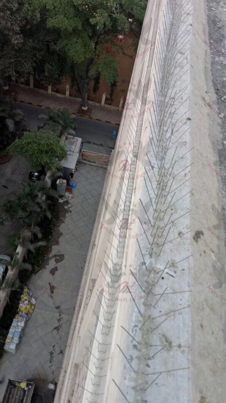 Bird Spikes installation in Bengaluru by Sarathi Safety Nets