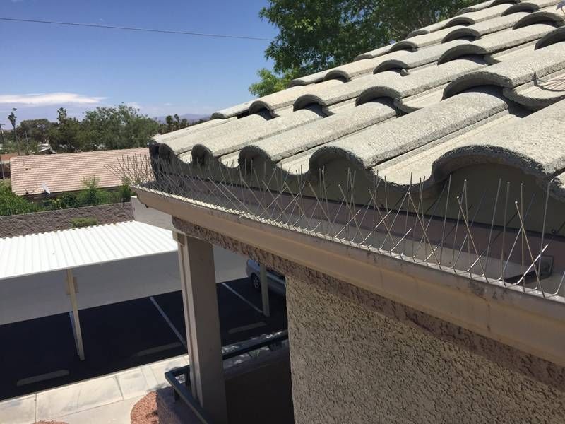Bird Spikes installation in Bengaluru by Sarathi Safety Nets