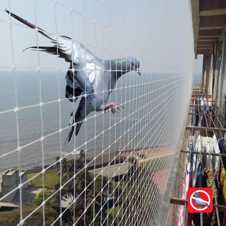 Sarathi Pigeon Nets installation in Akshayanagar Bengaluru